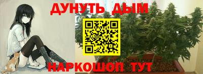 ПСИЛОЦИБИНОВЫЕ ГРИБЫ Заволжье