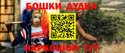 МДПВ Дубна