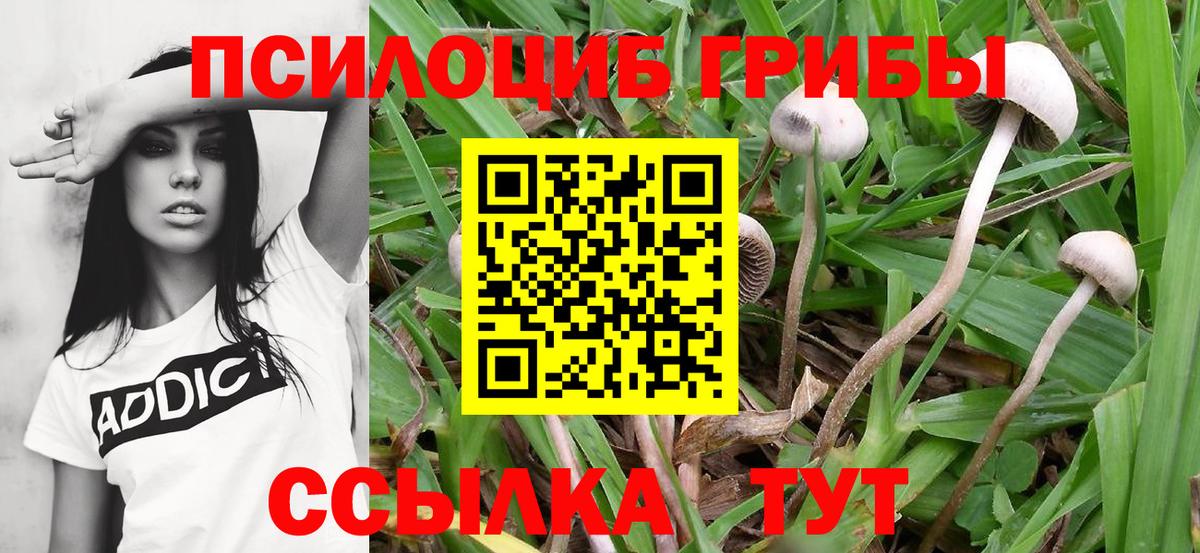 Галлюциногенные грибы MAGIC MUSHROOMS Людиново